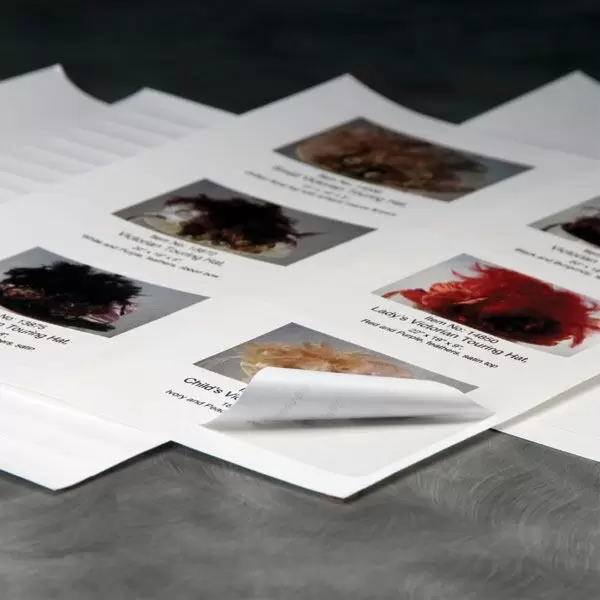 Archival Quality Printable Labels - Assorted Sizes