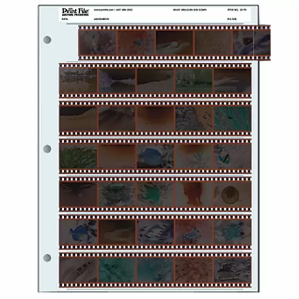 Prints shop from negatives