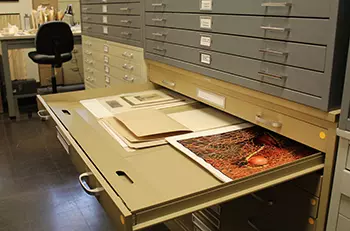 Museum Racks and Cabinets  Archival Bulk Storage, Shelving, Flat File