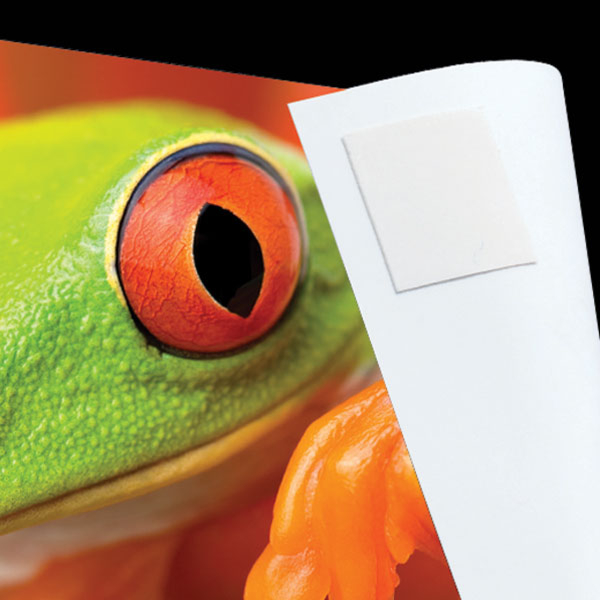 Archival Photo Products Acid Free Storage Boxes, Envelopes, Sleeves,