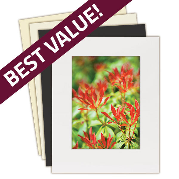 Archival Framing AcidFree Lineco Matboards for museum quality frami