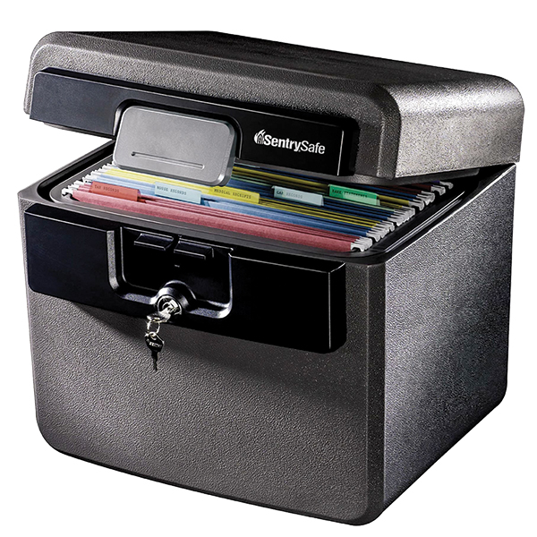 Guardian Storage Box