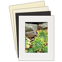 AMS: Specialty Clips Used to Hold Pictures and Matboards Securely in Frames