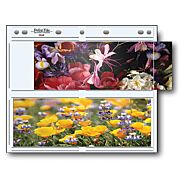 Print File Polypropylene Photo Album Pages- 3.5 x 10 in. Panoramic