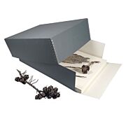 Herbarium Boxes