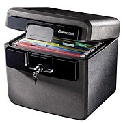 Guardian Storage Box