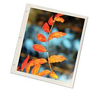 Archival Album Pages