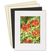 Lineco Conservation Mounting Mat Board