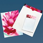 Unbuffered Perma/Dur Negative Envelopes- No Thumb Cut