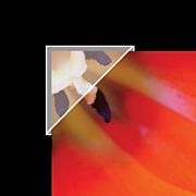 Polypropylene Mounting/ Framing Corners, .625'' Standard View