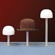 Conservation Storage Hat Mount