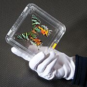 Suspension Storage Boxes