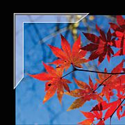 Polypropylene Mounting/ Framing Corners, Slimline