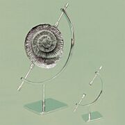 Chrome Caliper Stands