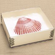 Top View Artifact Boxes