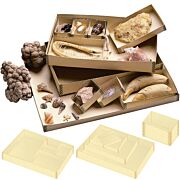 Archival Specimen Trays