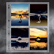Polypropylene Photo Album Pages- 4 x 5 in.