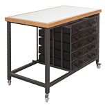 ex-libris conservation station with light table