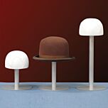 Conservation Storage Hat Mount