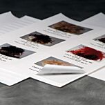 Archival Quality Printable Labels - Assorted Sizes