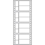 SL6 Format Continuous Labelsets - Foilback