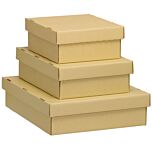 Archival Tan Corrugated Short Lid Boxes