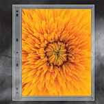 Polypropylene Photo Album Pages- 8 x 10 in.