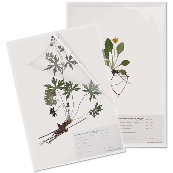 Herbarium Specimen Sheet Protectors