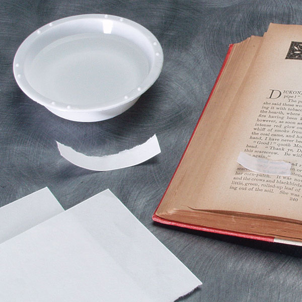 Iron Gall Ink Test Paper