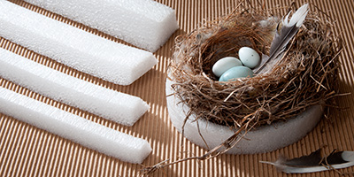 Univversity Products archival polyethylene foam roads with nest polyethylene foam rods support for a birds nest with eggs and feather